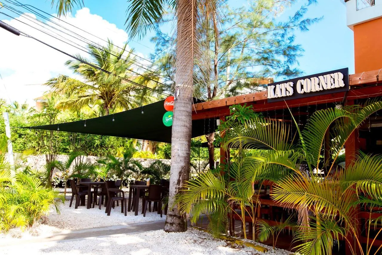 **** Otel Tropicana Suites Deluxe Beach Club & Pool - Playa Los Corales Dominik Cumhuriyeti